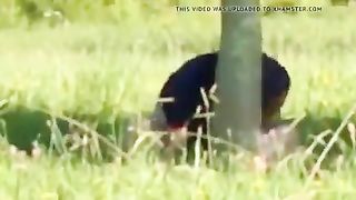 Наблюдение за публичным сексом развратной парочки