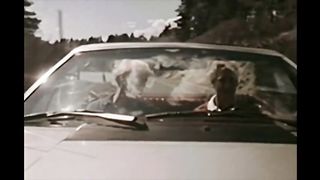 Красавчики в доме на озере трахаются в задницы