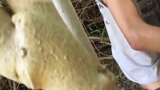 Чувак приспустил штаны и встал раком перед другом в кустах