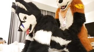 Аниматоры в костюмах волков трахаются в гей порно