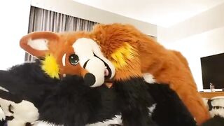 Аниматоры в костюмах волков трахаются в гей порно