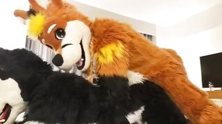 Аниматоры в костюмах волков трахаются в гей порно