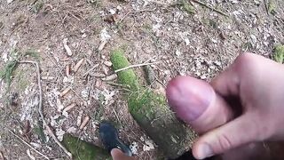 Блондин снимает сексуальное удовольствие дрочкой в лесу