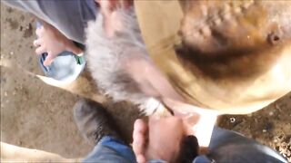 Бородатый дед сосет мой член