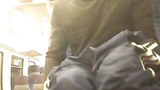Бесстыдно дрочит член в свое удовольствие перед камерой в поезде