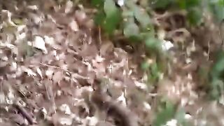 Лысый мужик ебет раком любовника на природе